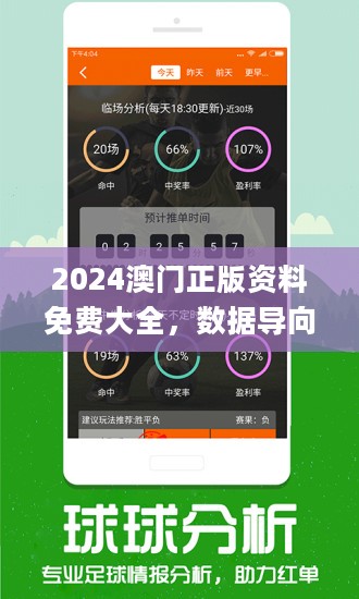 2024新澳开奖记录,揭秘新澳开奖记录，探寻背后的故事与奥秘