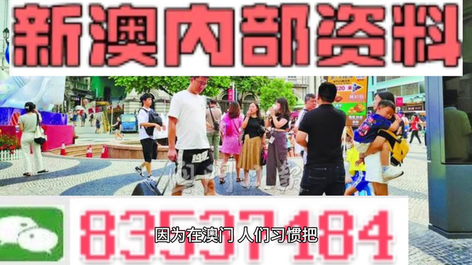 2024澳门正版免费料大全精准板,澳门正版免费料大全精准板与犯罪预防的重要性