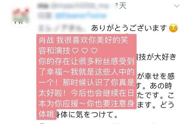 澳门平特一肖100%准资点评,澳门平特一肖，深度解析与精准预测点评