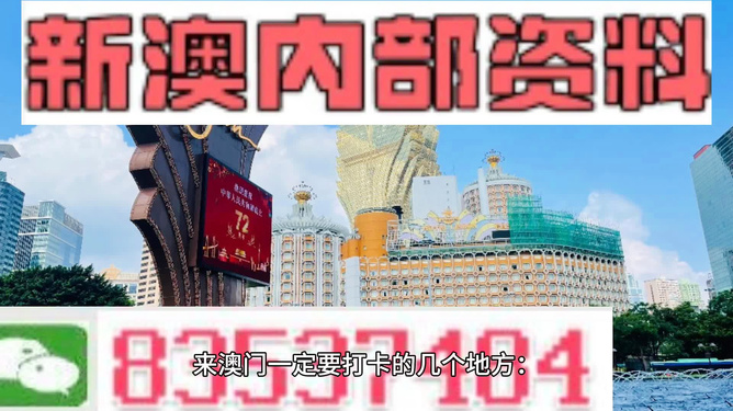 2024新澳精准正版资料109,揭秘2024新澳精准正版资料109，深度解析与预测