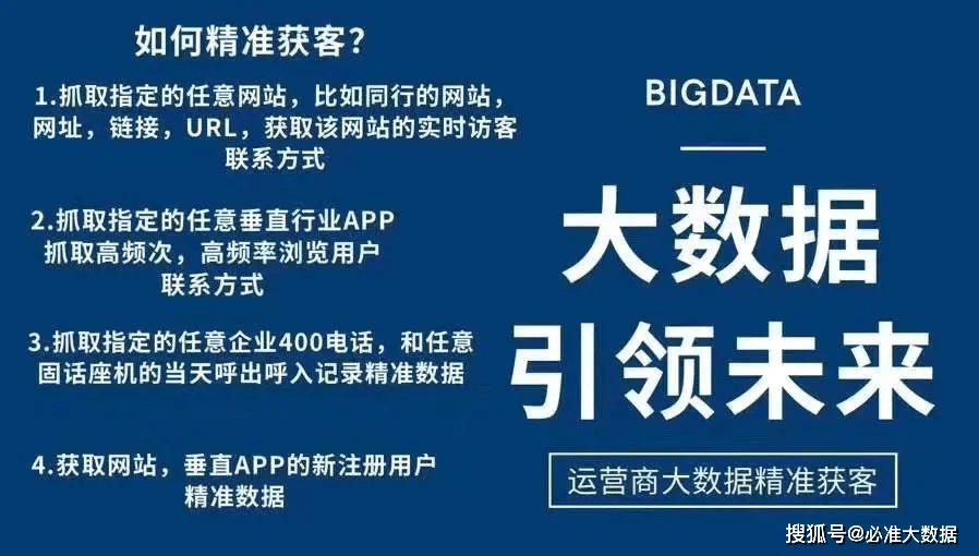 新奥天天正版资料大全,新奥天天正版资料大全，深度解析与实际应用