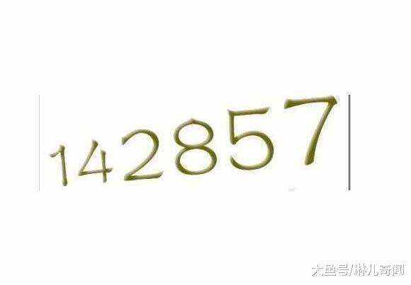 7777788888一肖一码,探索神秘数字组合，77777与88888的奥秘及一肖一码的魅力